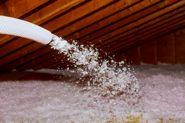 Best Attic Insulation Installation  in Ellisville, MO