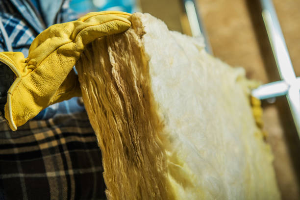 Best Spray Foam Insulation  in Ellisville, MO