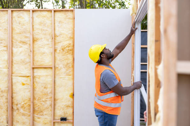 Best Insulation Removal Services  in Ellisville, MO