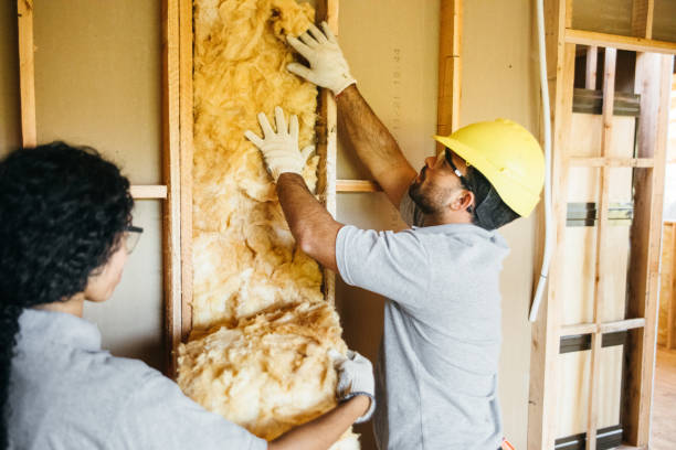 Best Affordable Insulation Services  in Ellisville, MO