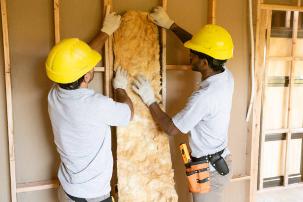 Insulation Inspection Services in Ellisville, MO