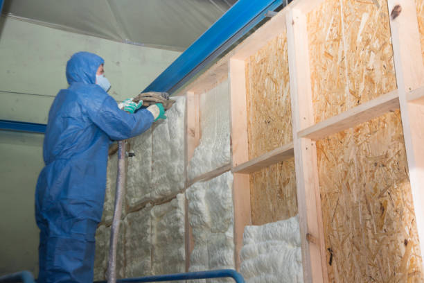 Best Local Insulation Services  in Ellisville, MO