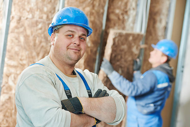 Best Soundproof Insulation Installation  in Ellisville, MO