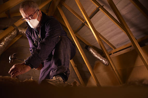 Best Energy-efficient Insulation  in Ellisville, MO