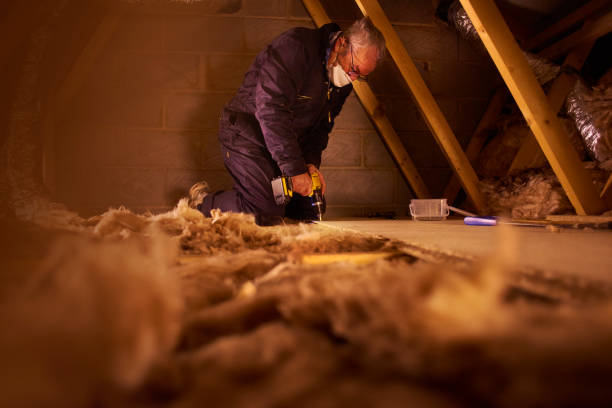 Best Wall Insulation Contractor  in Ellisville, MO